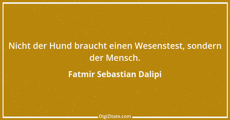 Zitat von Fatmir Sebastian Dalipi 3