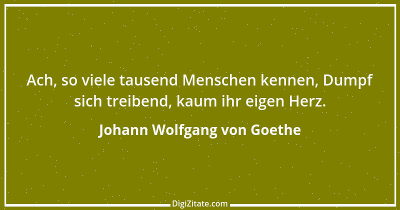 Zitat von Johann Wolfgang von Goethe 2593