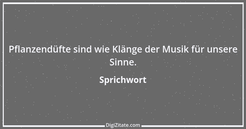 Zitat von Sprichwort 8585