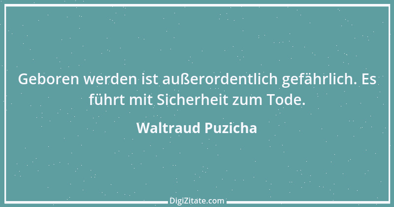 Zitat von Waltraud Puzicha 243