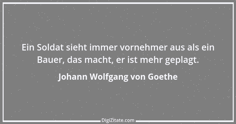 Zitat von Johann Wolfgang von Goethe 2813