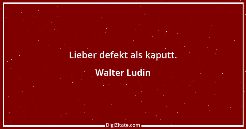 Zitat von Walter Ludin 315