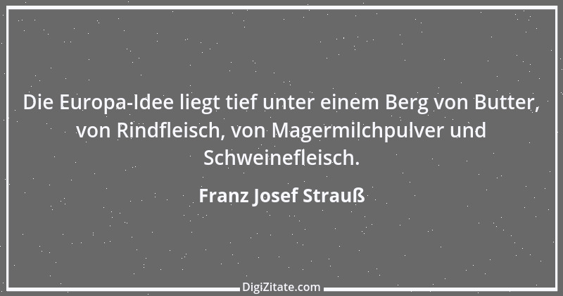 Zitat von Franz Josef Strauß 60