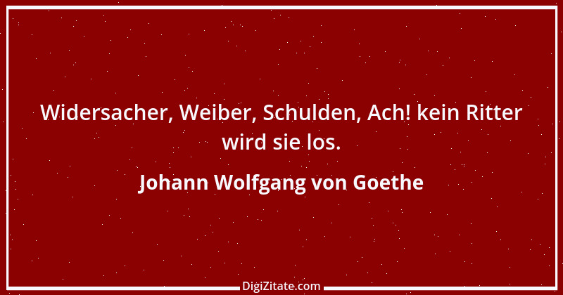 Zitat von Johann Wolfgang von Goethe 596