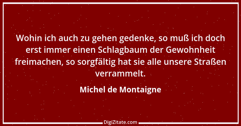 Zitat von Michel de Montaigne 284