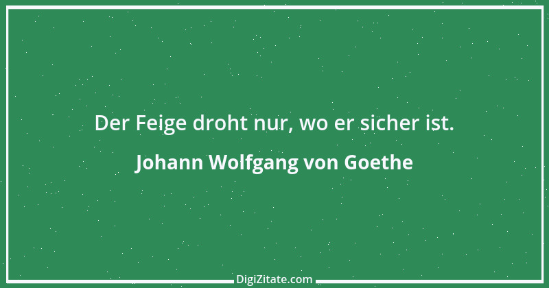 Zitat von Johann Wolfgang von Goethe 2597