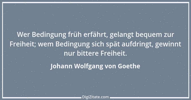 Zitat von Johann Wolfgang von Goethe 597