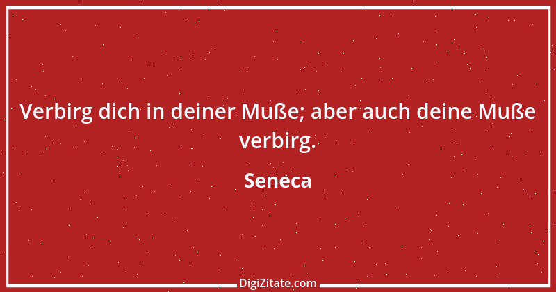 Zitat von Seneca 733