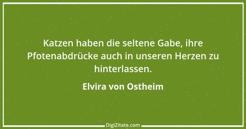 Zitat von Elvira von Ostheim 50