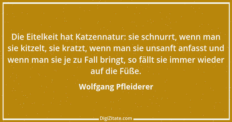 Zitat von Wolfgang Pfleiderer 13