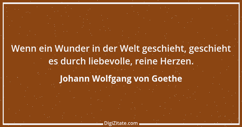 Zitat von Johann Wolfgang von Goethe 599