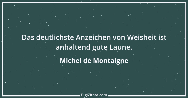 Zitat von Michel de Montaigne 287