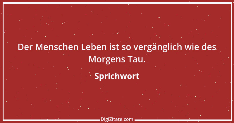 Zitat von Sprichwort 10592