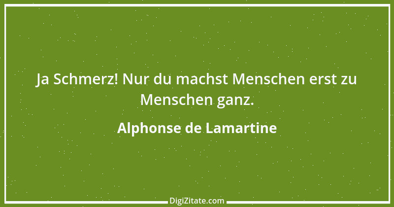 Zitat von Alphonse de Lamartine 60