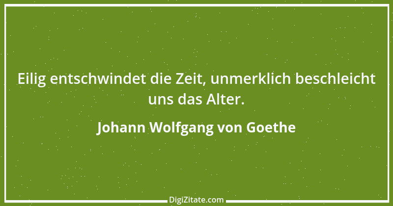 Zitat von Johann Wolfgang von Goethe 2601