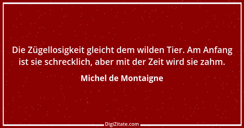 Zitat von Michel de Montaigne 289