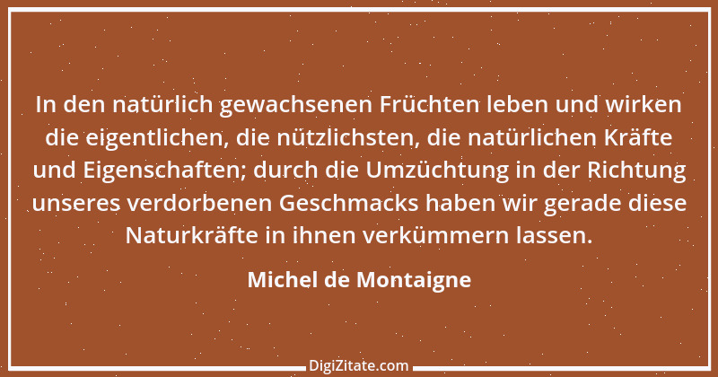 Zitat von Michel de Montaigne 290