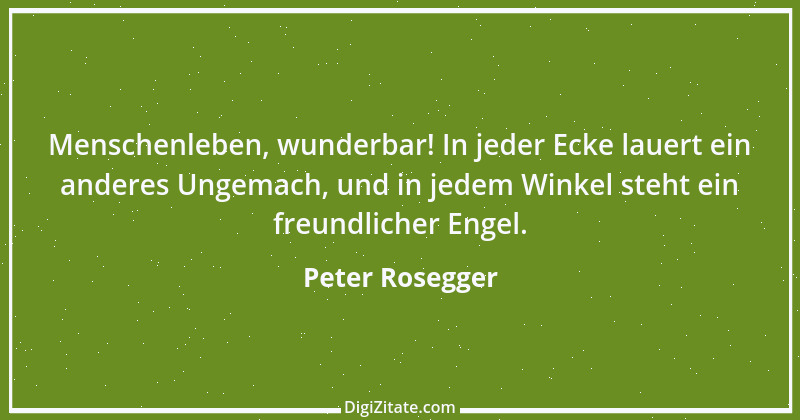 Zitat von Peter Rosegger 155