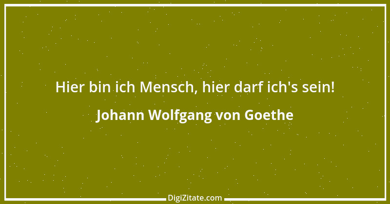 Zitat von Johann Wolfgang von Goethe 2603