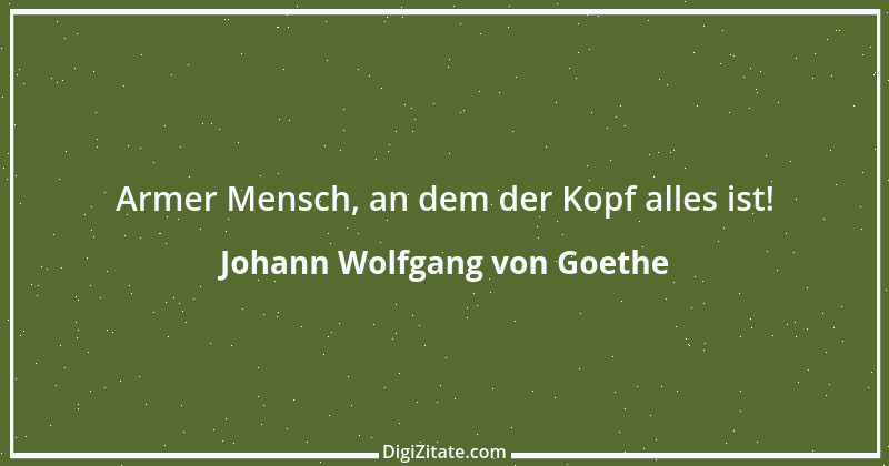 Zitat von Johann Wolfgang von Goethe 3604