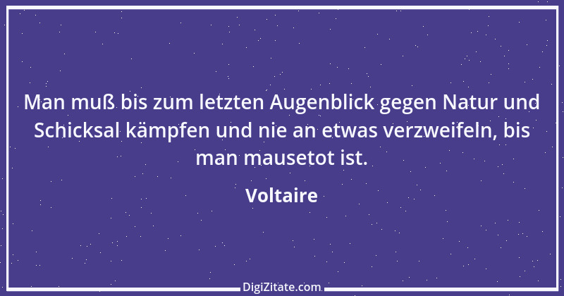 Zitat von Voltaire 459