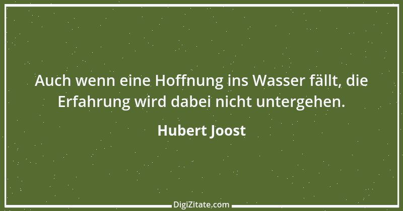 Zitat von Hubert Joost 160