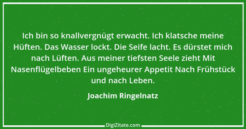 Zitat von Joachim Ringelnatz 100