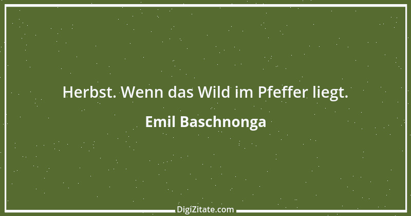 Zitat von Emil Baschnonga 4