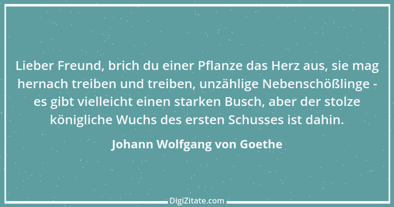 Zitat von Johann Wolfgang von Goethe 608