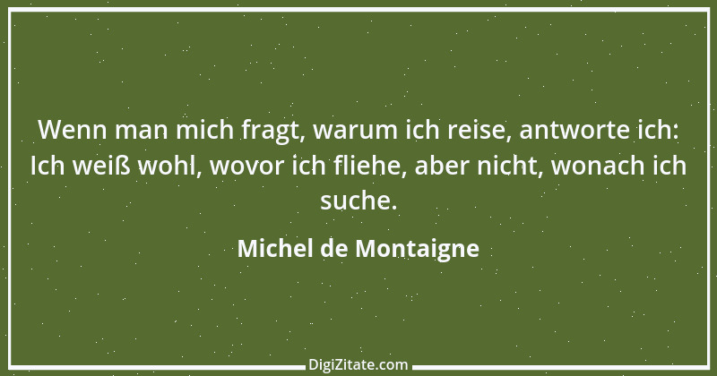 Zitat von Michel de Montaigne 296