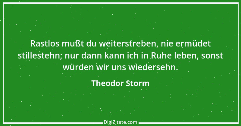 Zitat von Theodor Storm 29