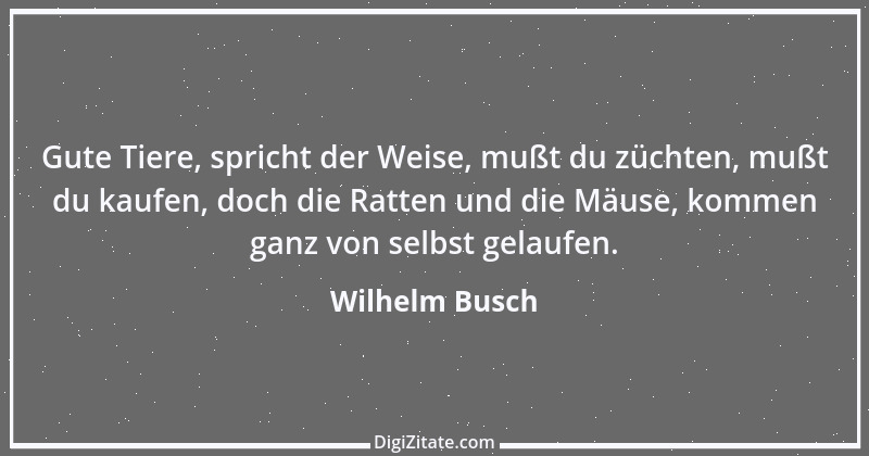 Zitat von Wilhelm Busch 161