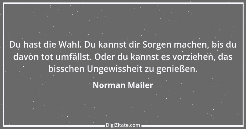 Zitat von Norman Mailer 16