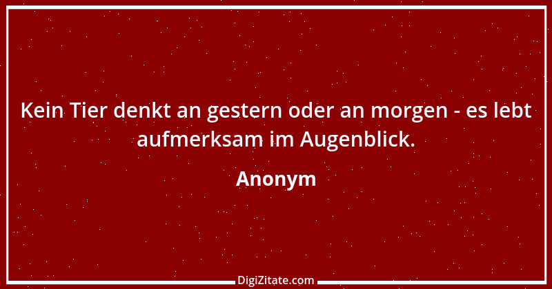 Zitat von Anonym 1579