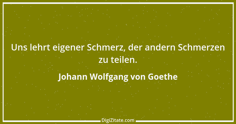 Zitat von Johann Wolfgang von Goethe 1611