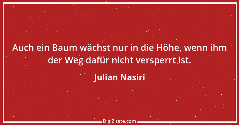 Zitat von Julian Nasiri 65