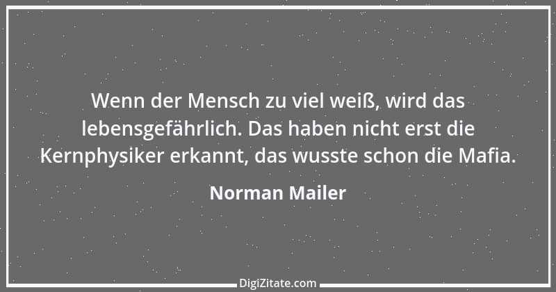 Zitat von Norman Mailer 17