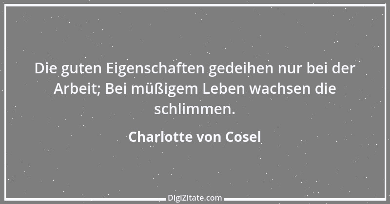 Zitat von Charlotte von Cosel 1