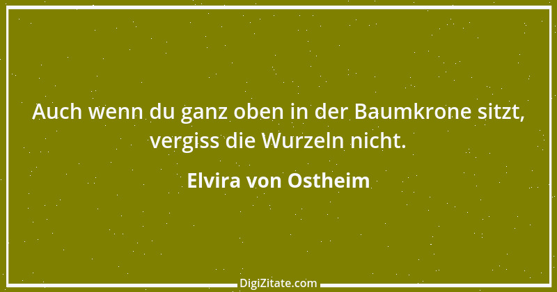 Zitat von Elvira von Ostheim 64