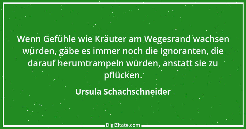 Zitat von Ursula Schachschneider 3