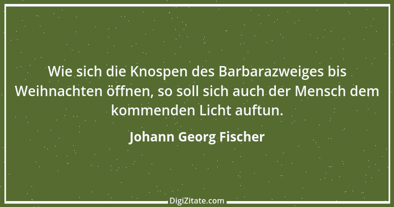 Zitat von Johann Georg Fischer 2