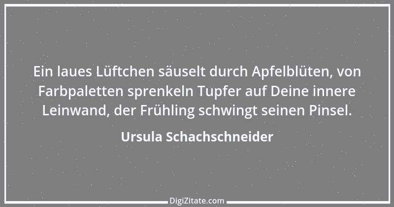 Zitat von Ursula Schachschneider 4