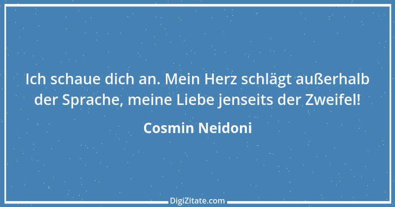 Zitat von Cosmin Neidoni 1