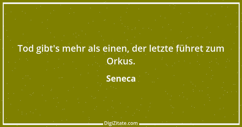 Zitat von Seneca 751