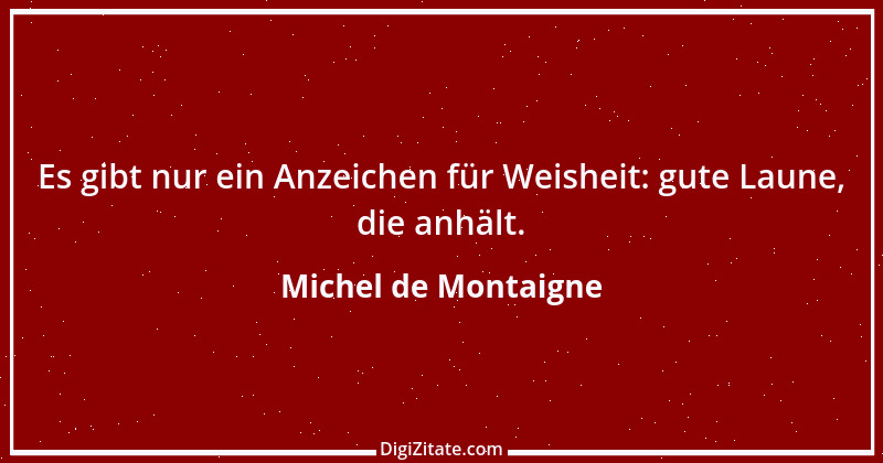 Zitat von Michel de Montaigne 304