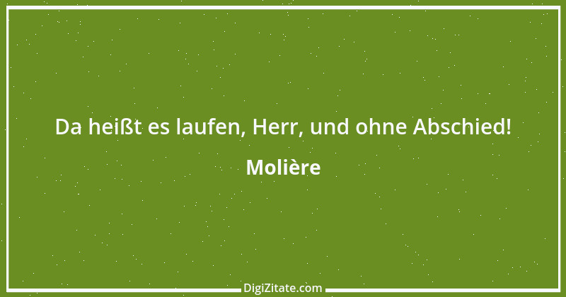 Zitat von Molière 19