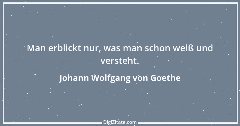 Zitat von Johann Wolfgang von Goethe 2617