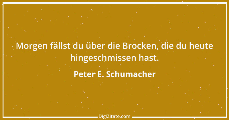 Zitat von Peter E. Schumacher 422