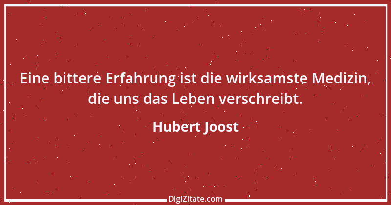 Zitat von Hubert Joost 172