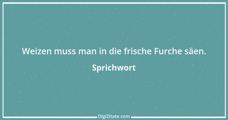 Zitat von Sprichwort 2610